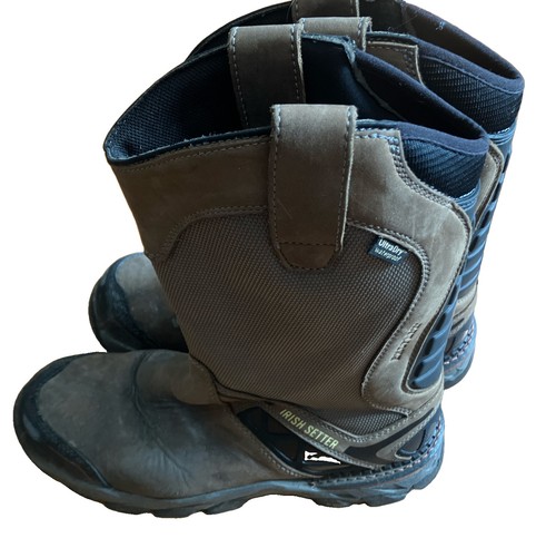 Irish setter red wing - irish,