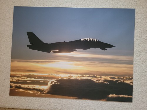 Navy f14d tomcat - f14d,