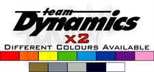 2 X TEAM DYNAMICS ALLOY WHEELS STICKERS / DECALS - DIFFERENT COLOURS AVAILABLE