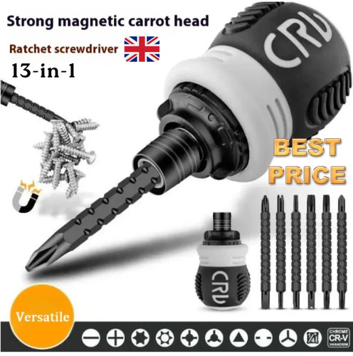 Mini ratchet precision - 13-in-1,