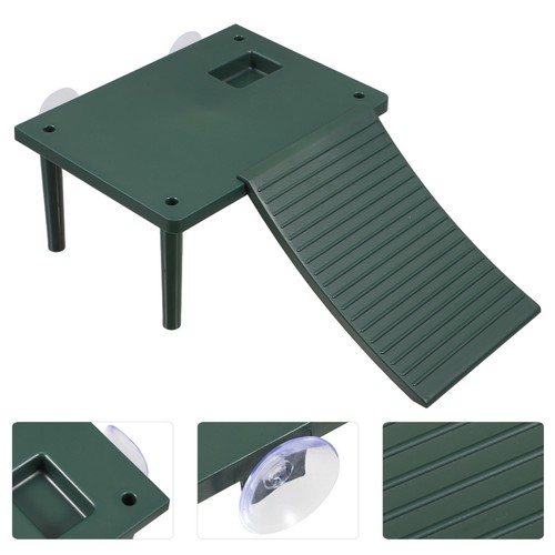 Basking platform gecko - platform,