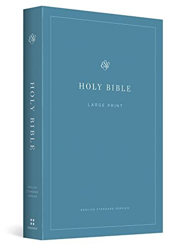 Esv economy bible large - bible,,