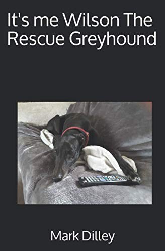Wilson the rescue - me,