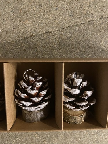 Ginger ray christmas pine - ginger,