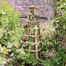 Wooden garden obelisk - wooden, climbing