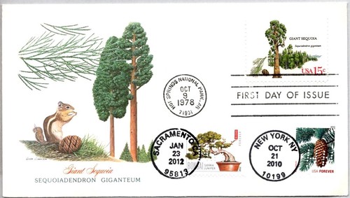 1764 giant sequoia 4618 - sequoia, #4618