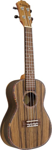 Ashbury 89cz concert - ashbury,