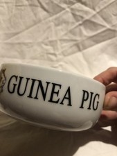 Guinea Pig Feed Bowl 