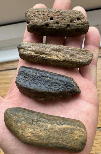 Fossilised whale bones with - 4x,