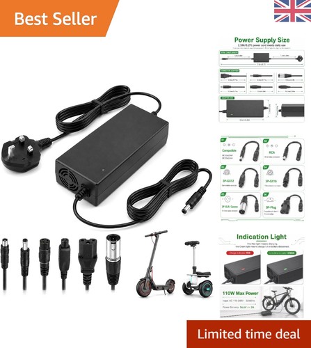 Electric scooter charger - electric,