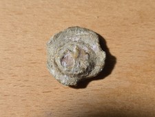 Post Medieval Official Lead