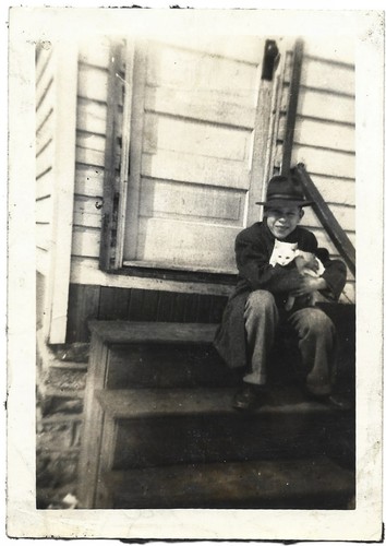 Boy kitten vintage - kitten, photo