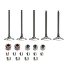 Intake & Exhaust Valves w/