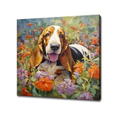 Basset Hound Dog Puppy