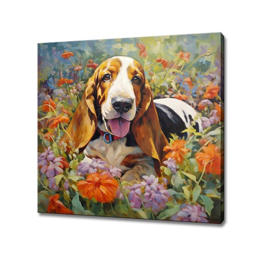 Basset hound dog - hound,