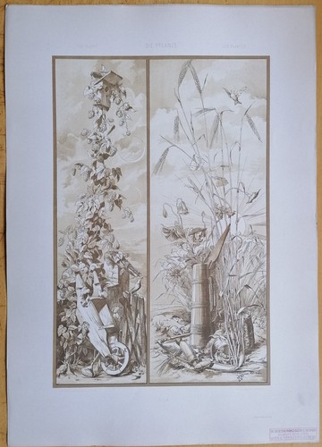 Seder large print die - print, pflanze