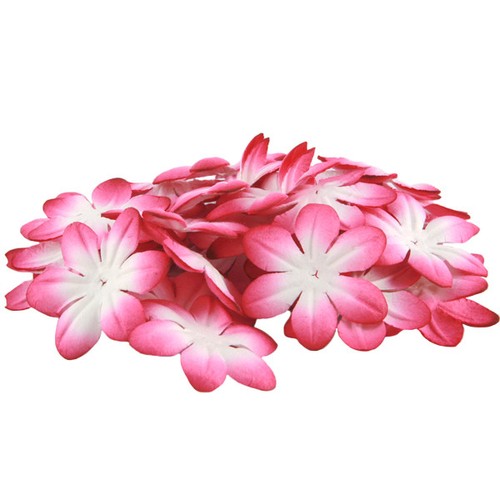 Cerise and white mulberry - cerise,