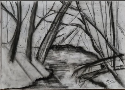 Pencil charcoal drawing - charcoal,