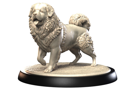 Dogs2 tibetan mastiff - tibetan, 1