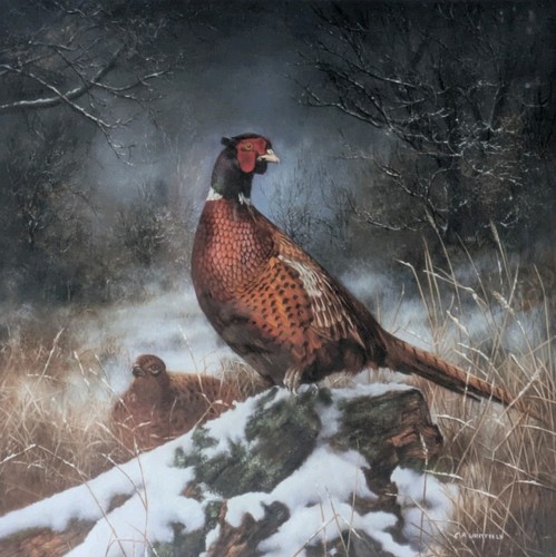 Carl whitfield hand signed - carl,