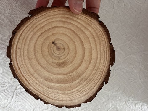 13cm wood log slices discs - log,