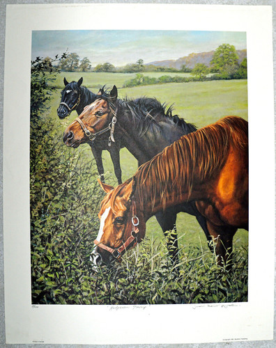 Judi kent pyrah print - print, hedgerow