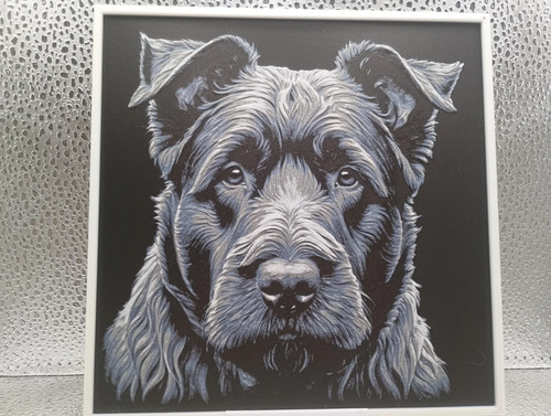 Bouvier des flandres hueforge - des,
