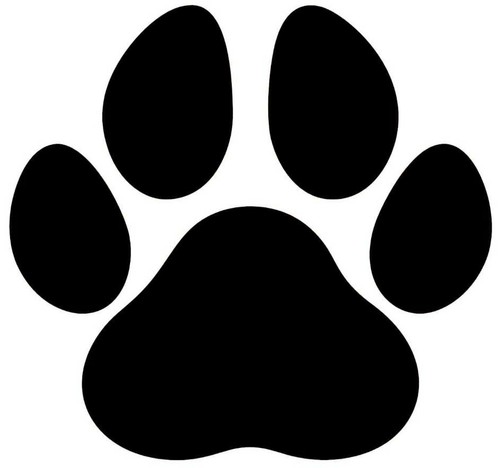 Large dog paw - large,