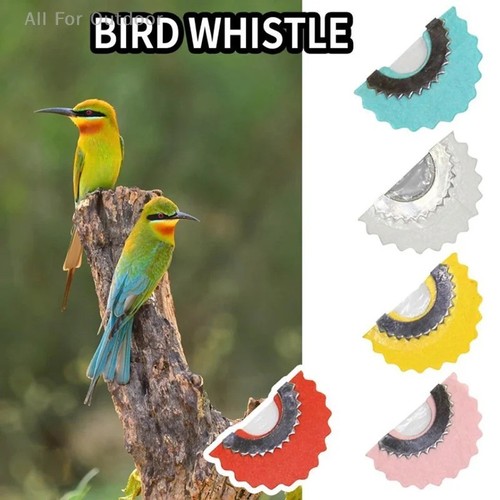Bird whistle magic fun - -,