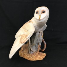 The Barn Owl The Franklin Mint