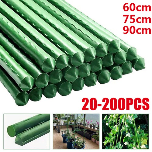 Garden canes plastic coated - canes,