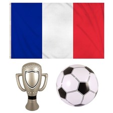 France National Flag Metal