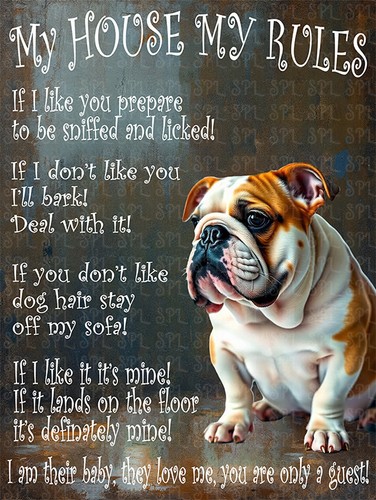 English bulldog dog house - english,
