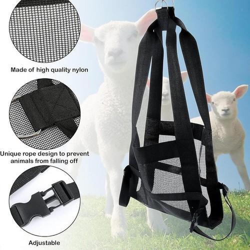 Calf sling for weighing - sling,