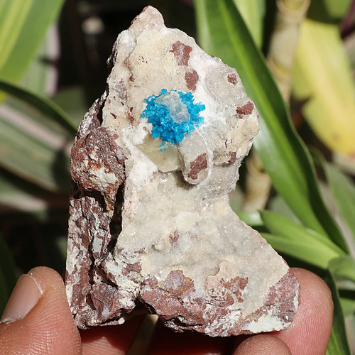 Genuine 65gm blue - , cavansite
