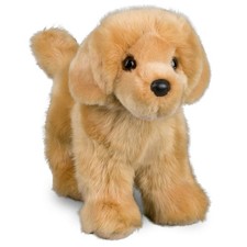 Douglas Chap Golden Retriever