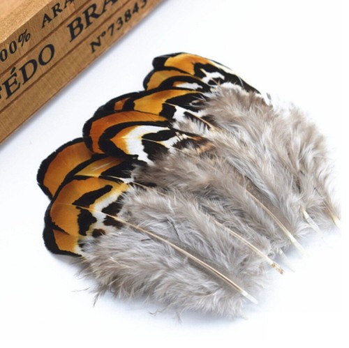 Rare tortoiseshell brown - tortoiseshell,
