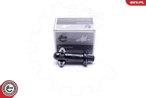 Esen skv 20skv143 thermostat - 20skv143,