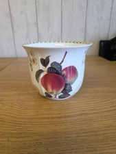 Royal Horticultural Society By Queen's - Hookers Fruit - Plant Pot 