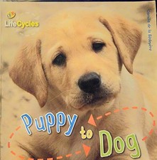 Puppy to Dog Book The Cheap