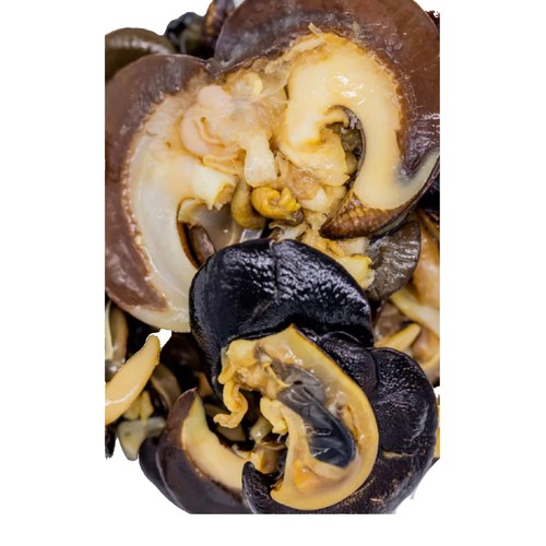 Frozen african snail - snail, meat