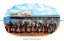 R577431 Donkeys at Weston