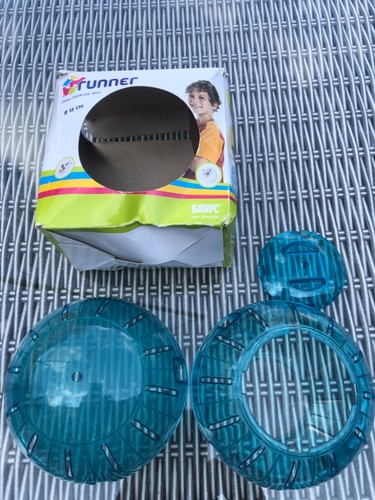 Clear ball hamster - hamster,