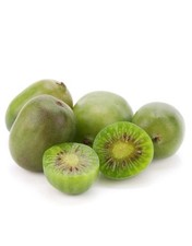 2 Pack Kiwi ‘Issai’ Plant