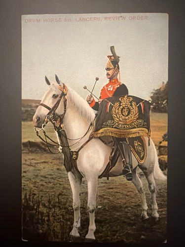 1908 5th lancers drum horse - 5th,