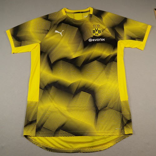 Borussia dortmund training - dortmund,