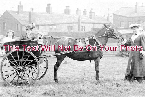 12744 elland horse - horse, &
