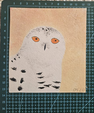 Owl Handmade Painting on