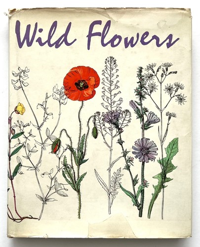 Wild flowers barton 56 - flowers,