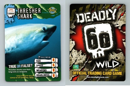 Thresher shark 161 - thresher, deadly